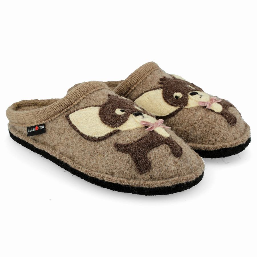 Pantofole Novelty Donna Haflinger Chihuahua Marroni | GOJ6436TU