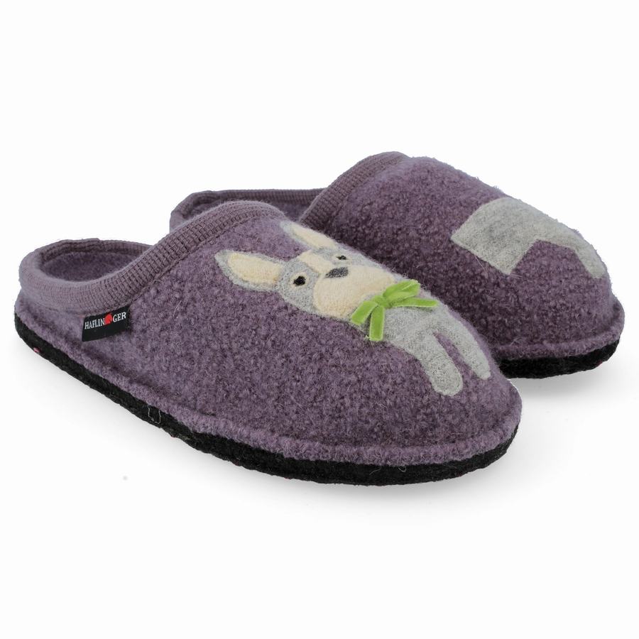 Pantofole Novelty Donna Haflinger Puppy Viola | BHB2292GH