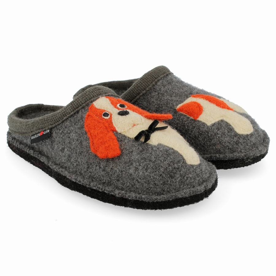 Pantofole Novelty Donna Haflinger Spaniel Grigie | YLF6816AD