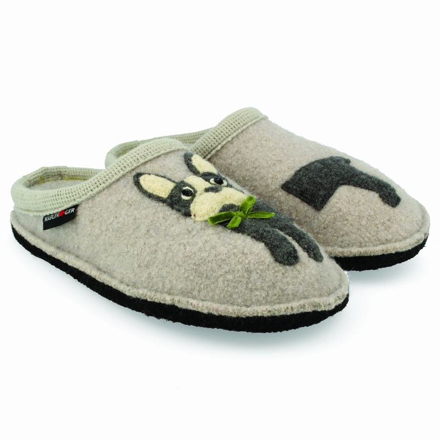 Pantofole Novelty Uomo Haflinger Puppy Grigie Chiaro | ZSX6577ZW